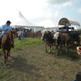 took advantage of the free covered wagon rides